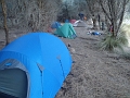 R-P1143813 Winter Cove campsite, Deal Island